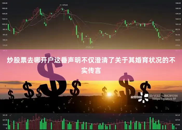 炒股票去哪开户这番声明不仅澄清了关于其婚育状况的不实传言