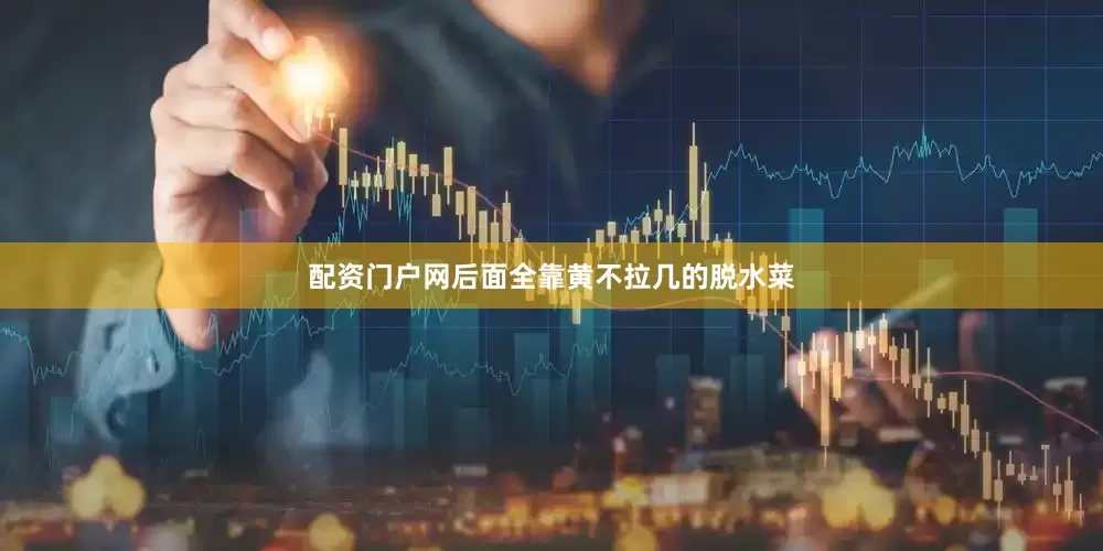 配资门户网后面全靠黄不拉几的脱水菜